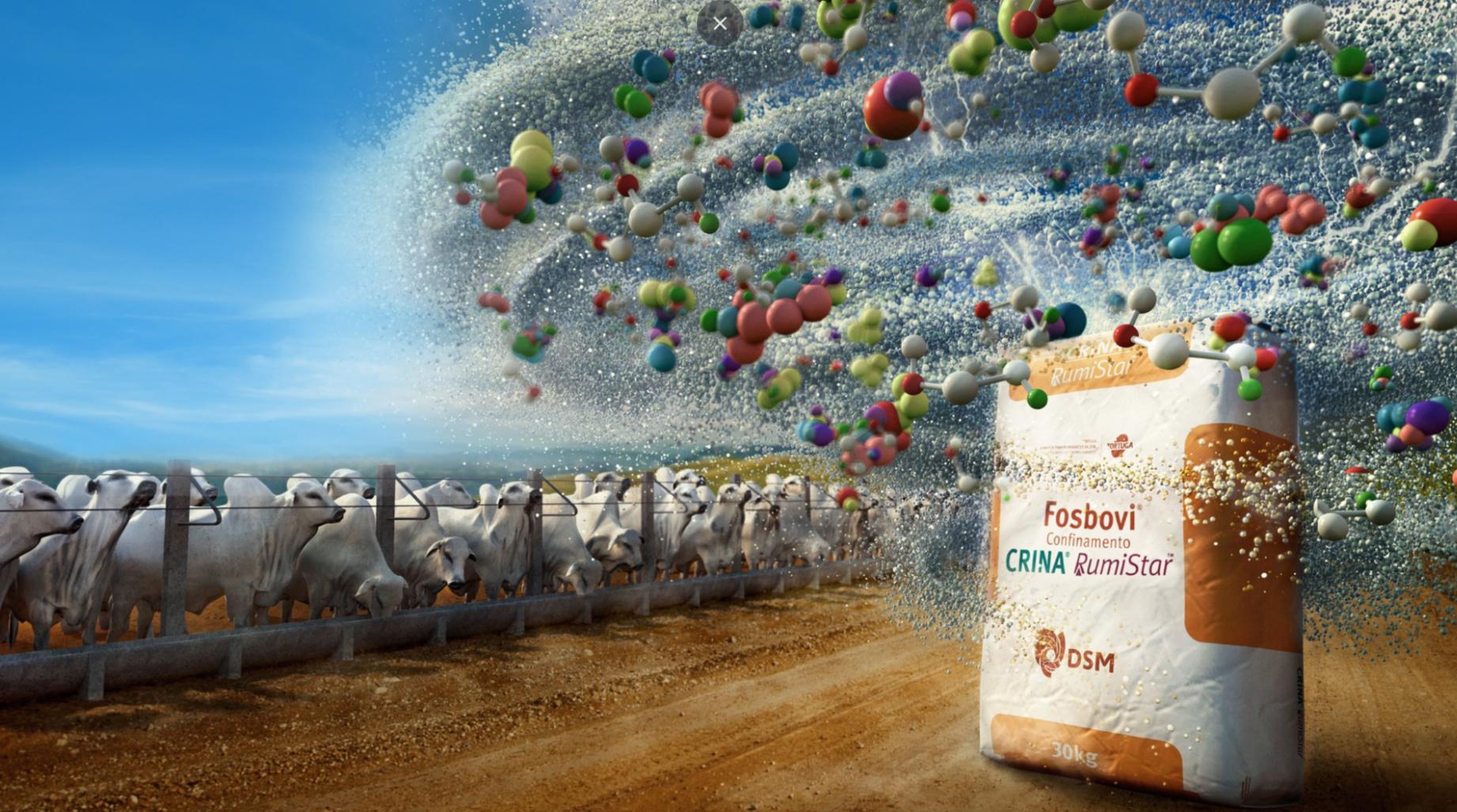 AGRO / DSM TORTUGA: imagem do projeto apresentada no portfólio