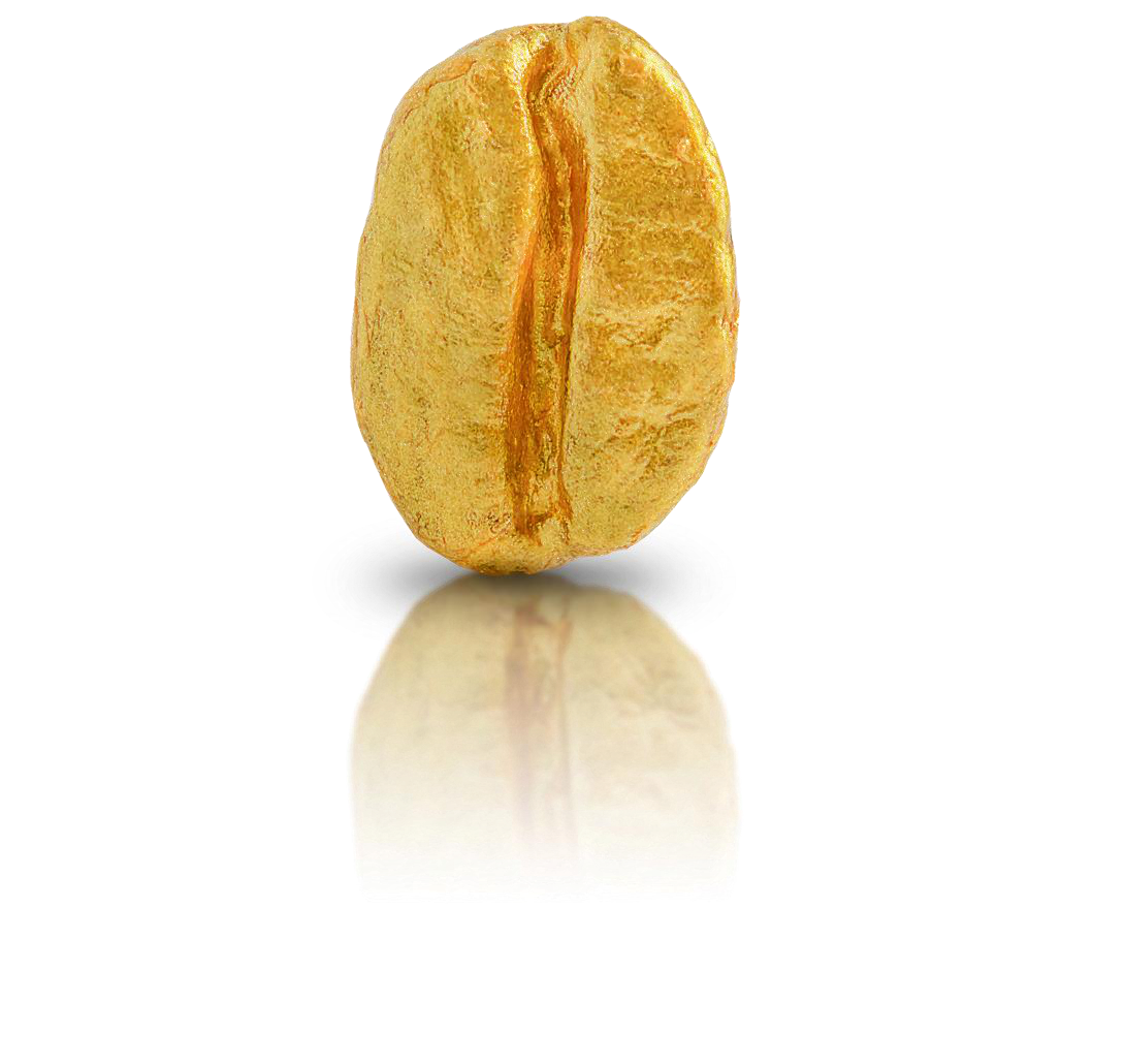 Grão de café dourado da identidade Microlote da DP
