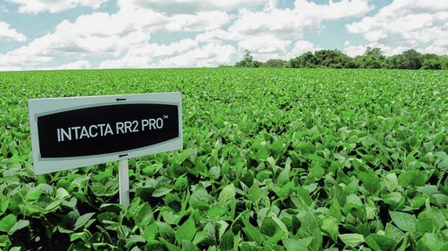 Lavoura de soja com placa da tecnologia Intacta RR2 PRO